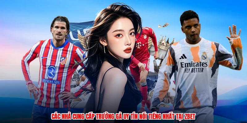 Các nhà cung cấp trường gà uy tín nổi tiếng nhất tại ZBET