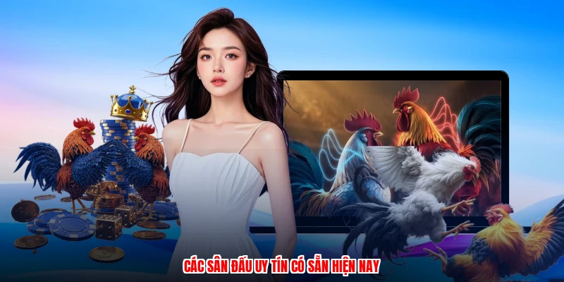 Các sân đấu uy tín có sẵn hiện nay