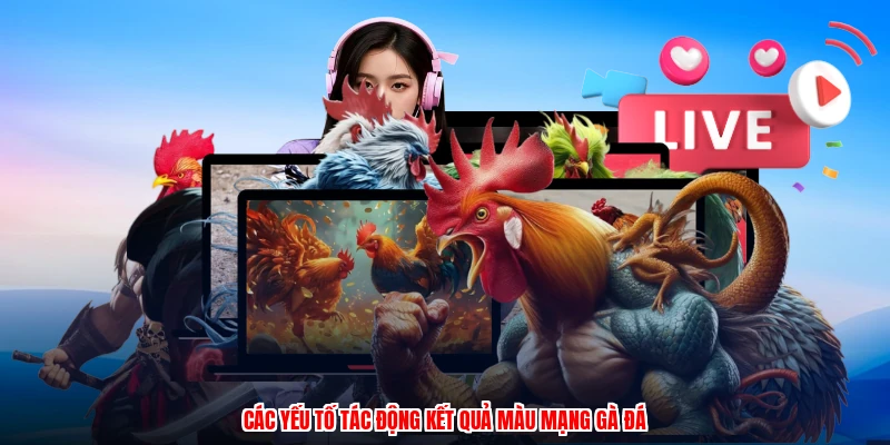 Các yếu tố tác động kết quả màu mạng gà đá