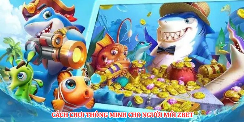 Cách chơi thông minh cho người mới ZBET