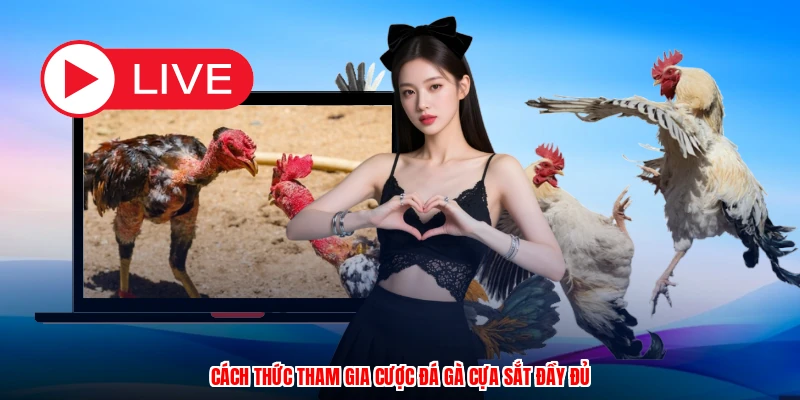 Cách thức tham gia cược đá gà cựa sắt đầy đủ