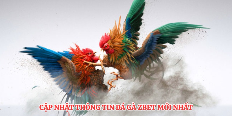 Cập nhật thông tin đá gà ZBET mới nhất