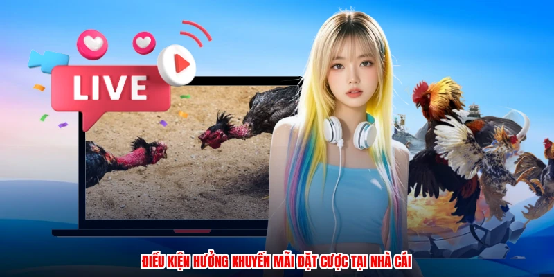 Điều kiện hưởng khuyến mãi đặt cược tại nhà cái