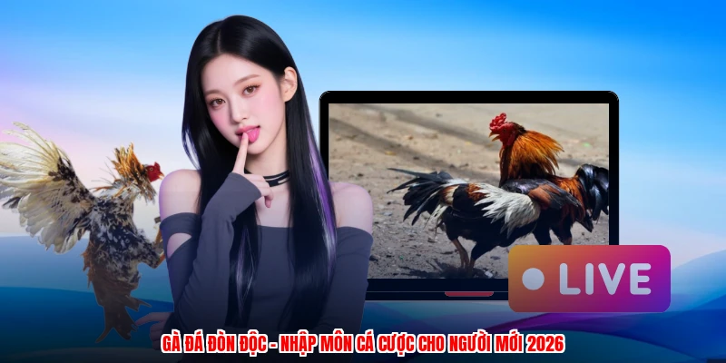 Gà Đá Đòn Độc - Nhập Môn Cá Cược Cho Người Mới 2026