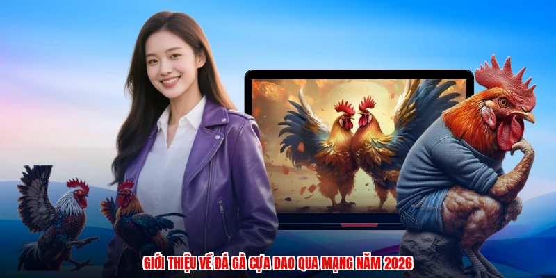 Giới thiệu về đá gà cựa dao qua mạng năm 2026