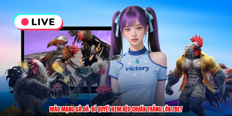 Màu Mạng Gà Đá: Bí Quyết Xem Kèo Chuẩn Thắng Lớn ZBET