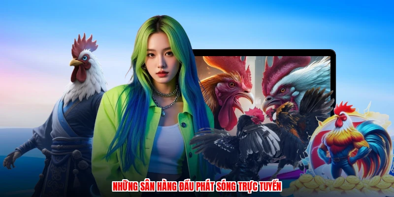 Những sân hàng đầu phát sóng trực tuyến